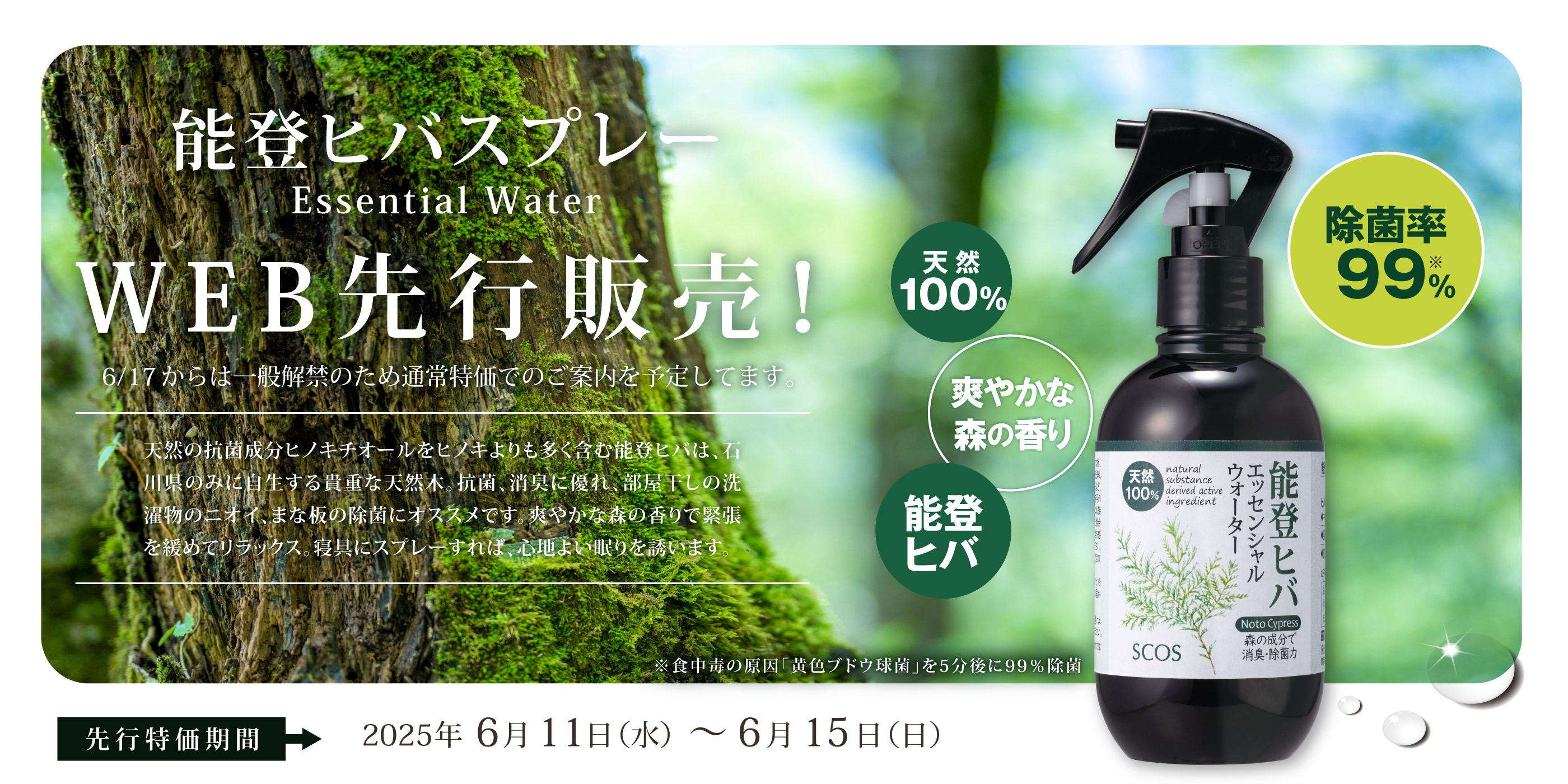 能登ヒバスプレー先行販売